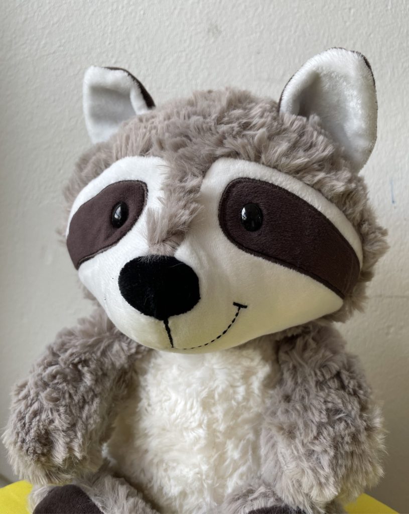 Klassentier Waschbär der Klasse 1b