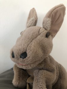 Klassentier Känguru der Klasse 3a