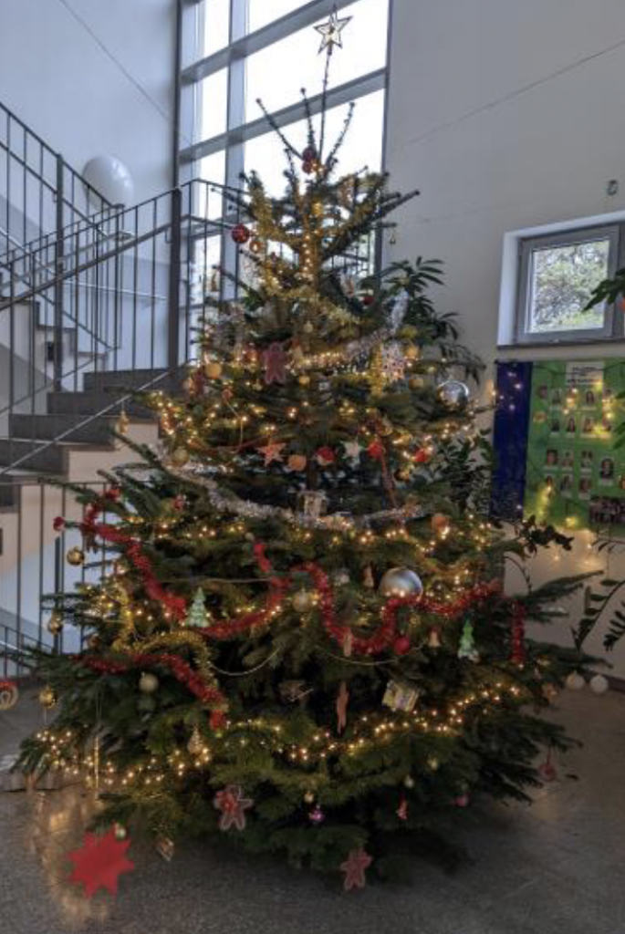 Weihnachtsbaum